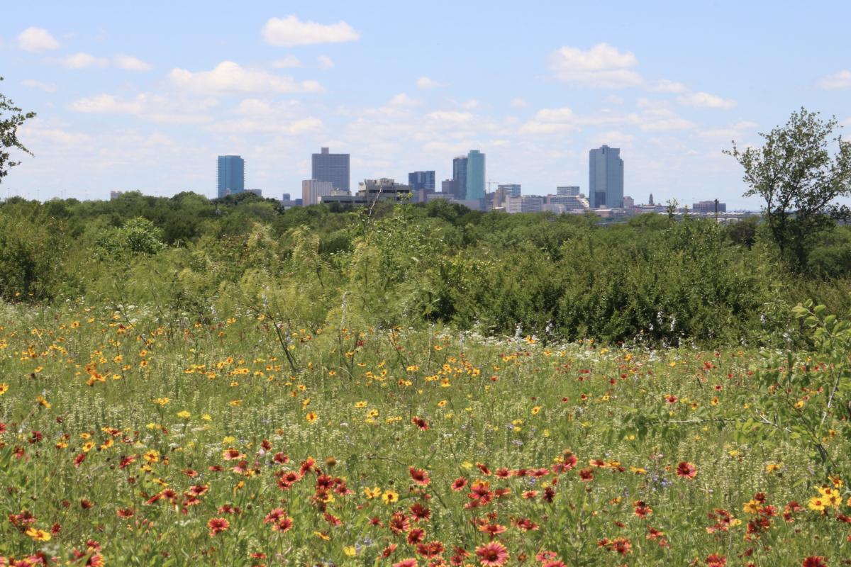 view of field with city skyline